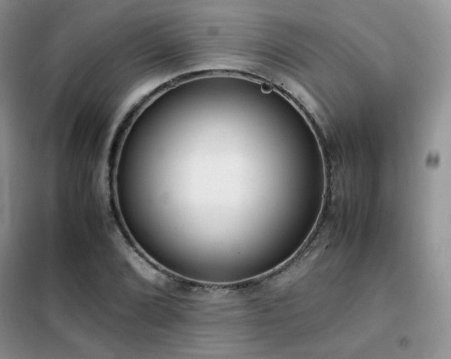 X0000102341072200808011135