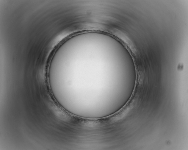 X0000102341074200808011135