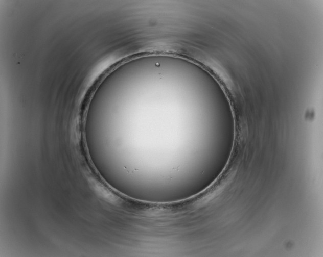 X0000102341075200808011135