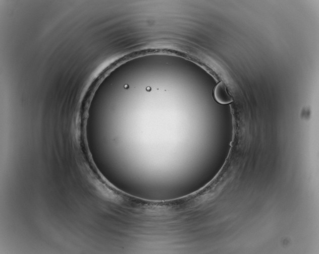 X0000102341076200808011135