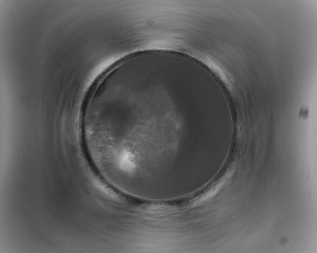 X0000102341077200808011135