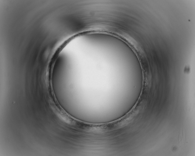 X0000102341078200808011135