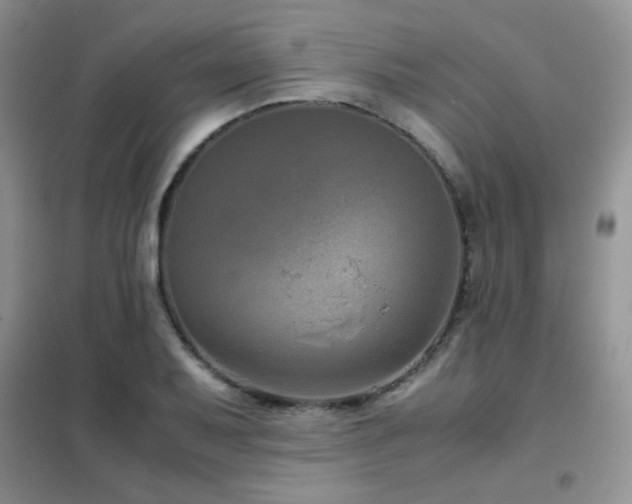 X0000102341079200808011135