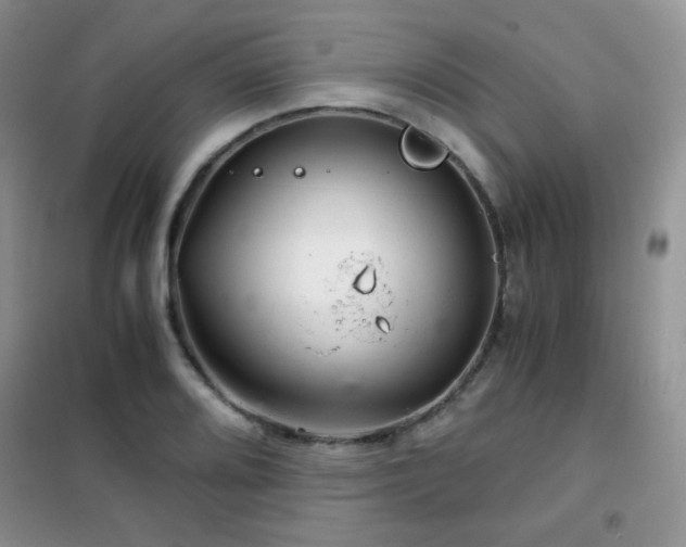 X0000102341080200808011135