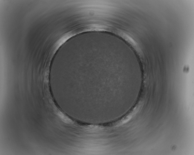 X0000102341081200808011135