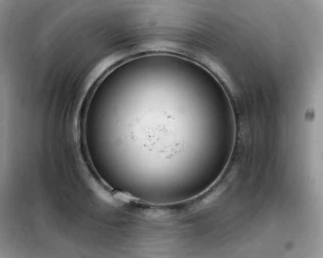 X0000102341082200808011135