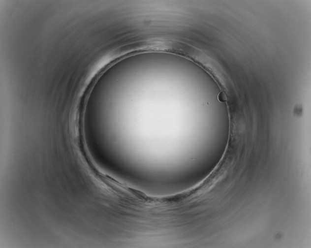 X0000102341083200808011135