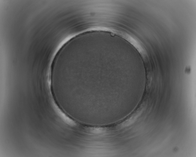 X0000102341084200808011135