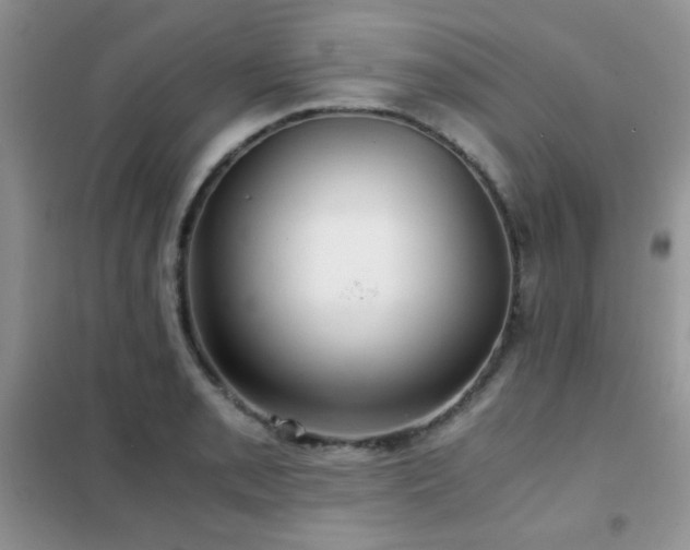 X0000102341085200808011135