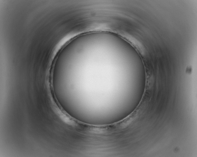 X0000102341086200808011135