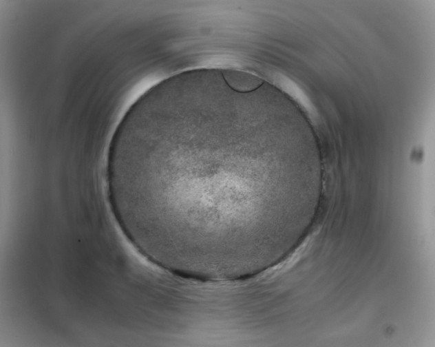 X0000102341087200808011135