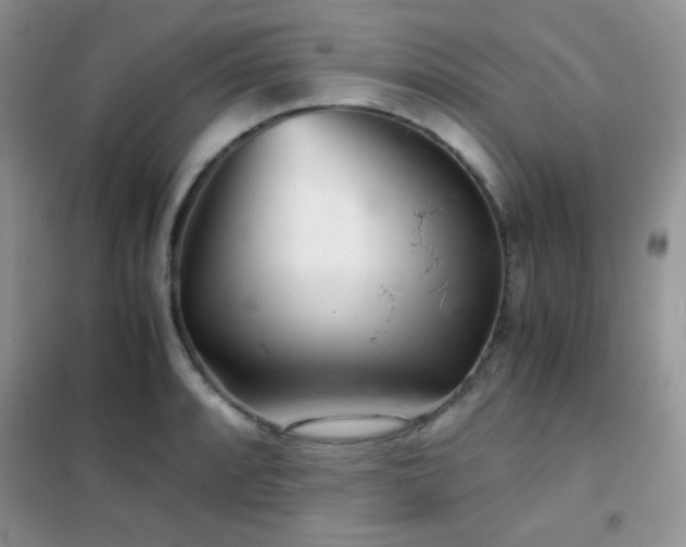 X0000102341088200808011135