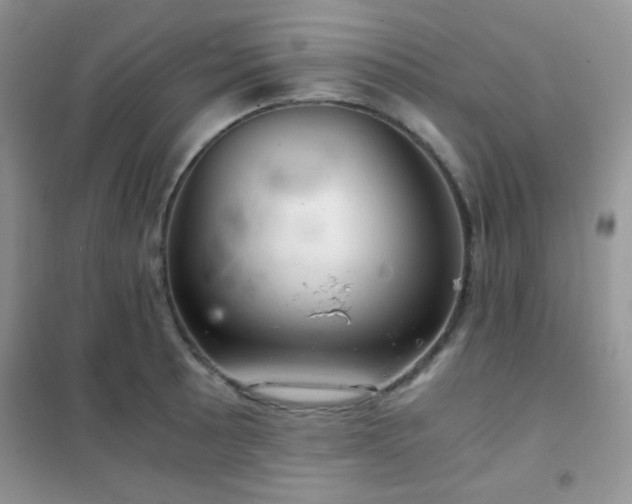 X0000102341089200808011135