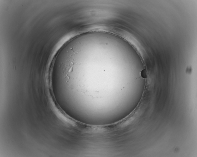 X0000102341090200808011135