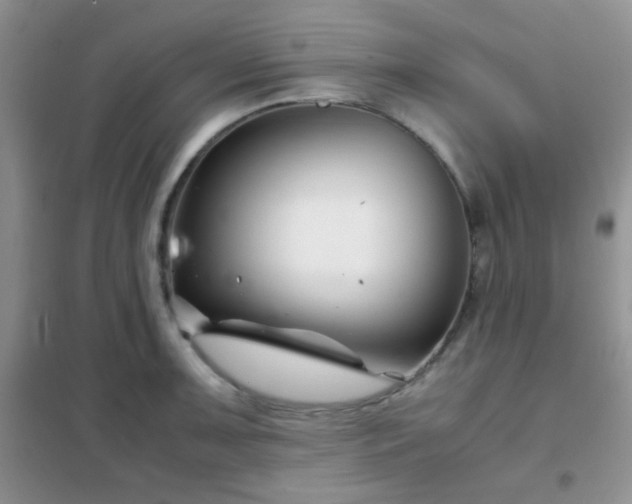 X0000102341091200808011135