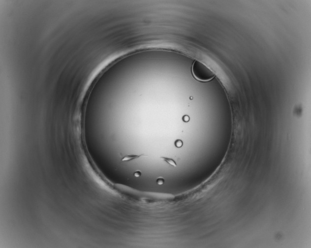 X0000102341092200808011135