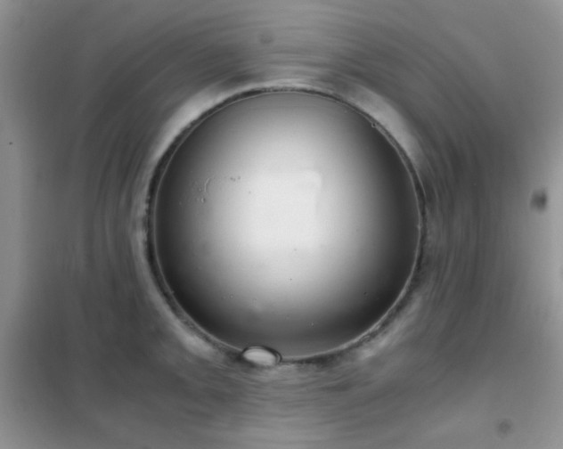 X0000102341093200808011135