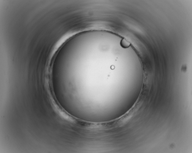 X0000102341094200808011135