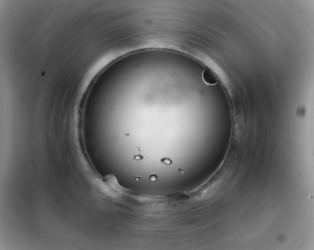 X0000102341096200808011135