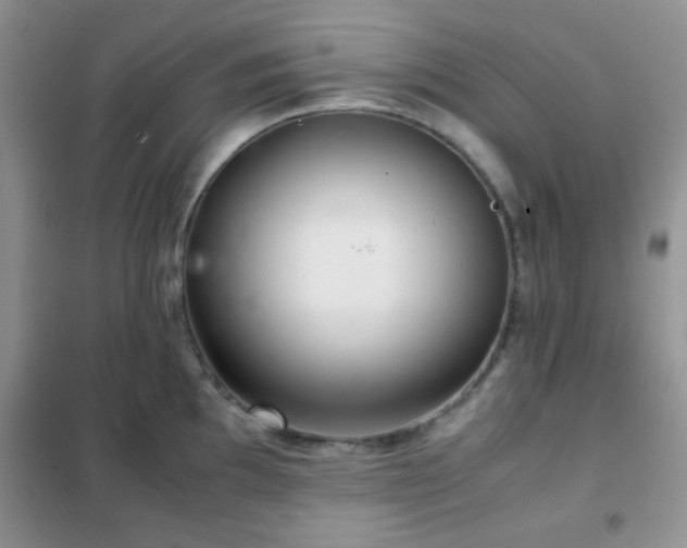 X0000102341097200808011135