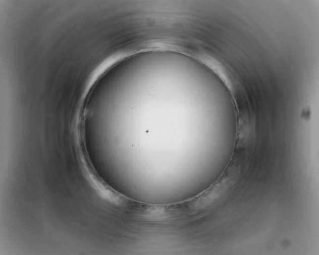 X0000102341098200808011135