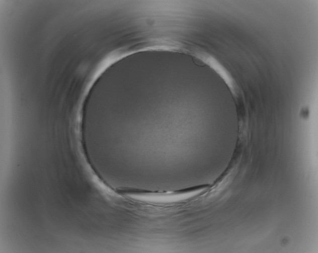 X0000102341099200808011135