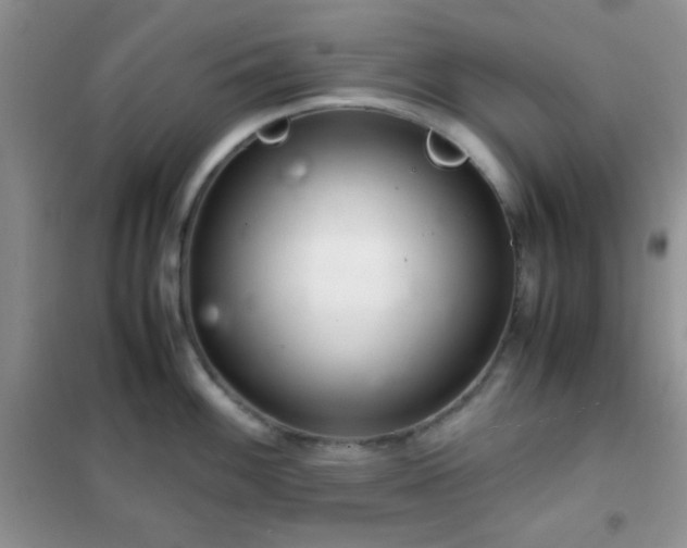 X0000102341100200808011135