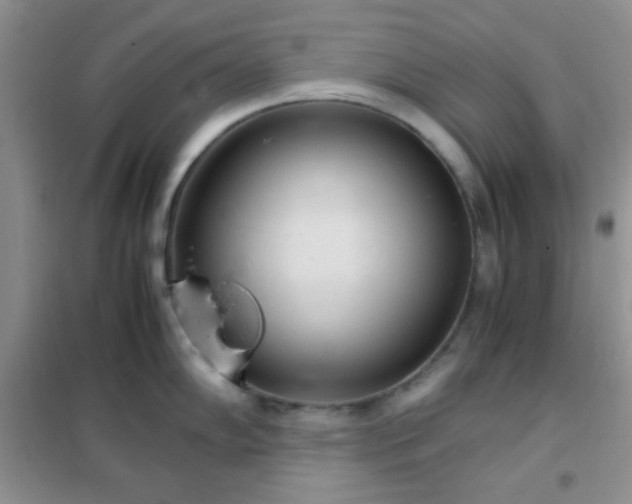 X0000102341102200808011135