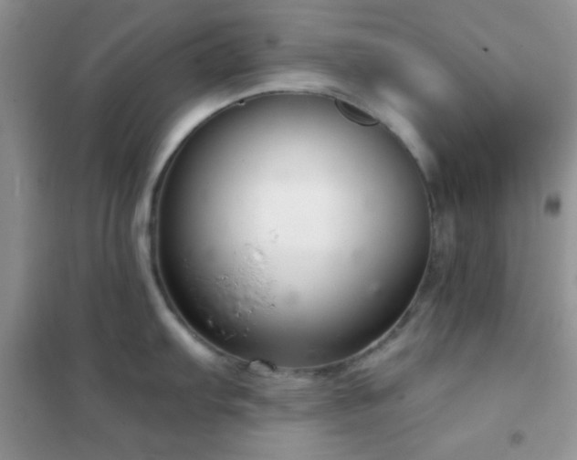 X0000102341103200808011135