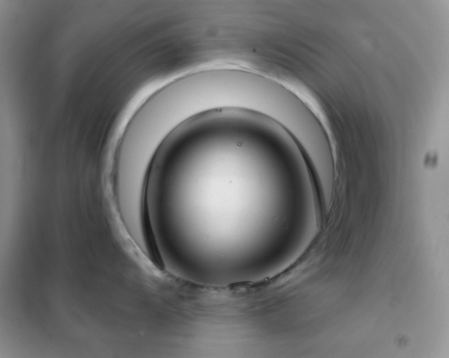 X0000102341104200808011135