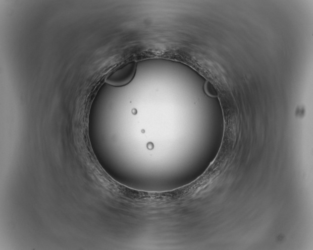 X0000102341105200808011134