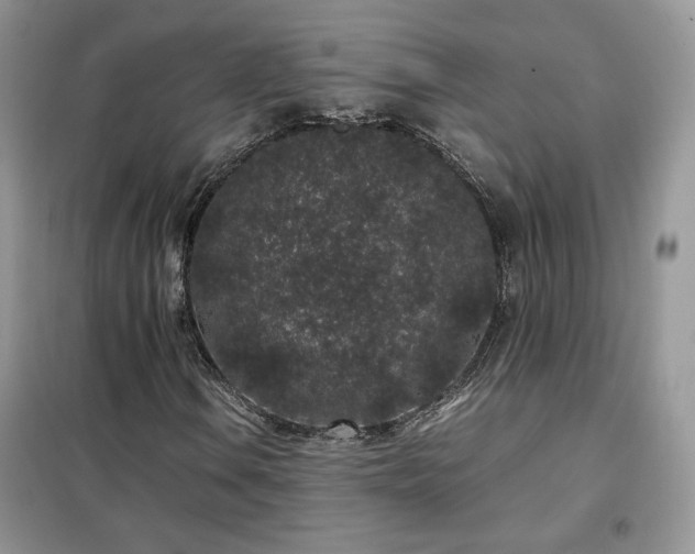 X0000102341106200808011134