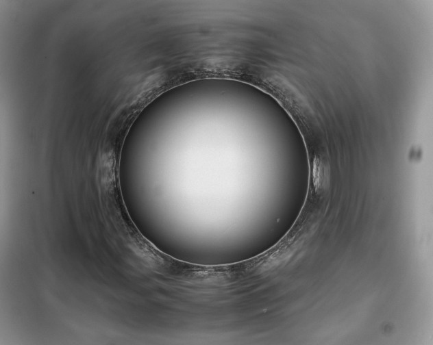 X0000102341107200808011134