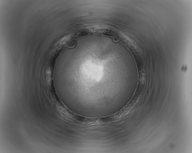 X0000102341108200808011134