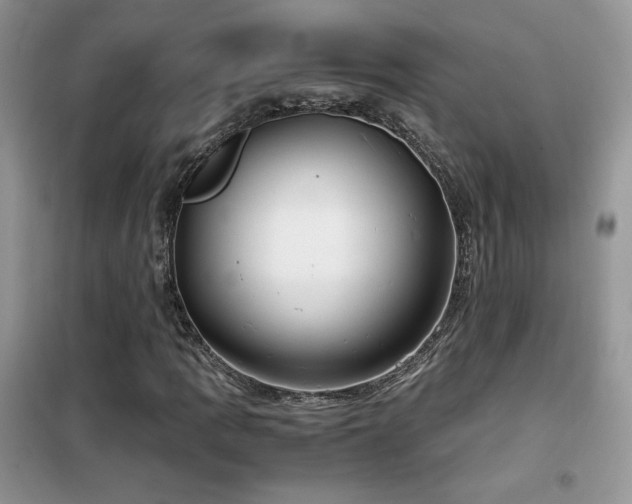 X0000102341109200808011134