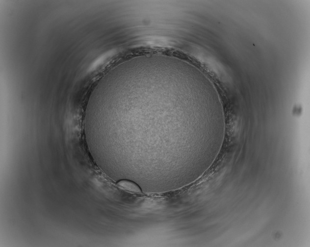 X0000102341110200808011134