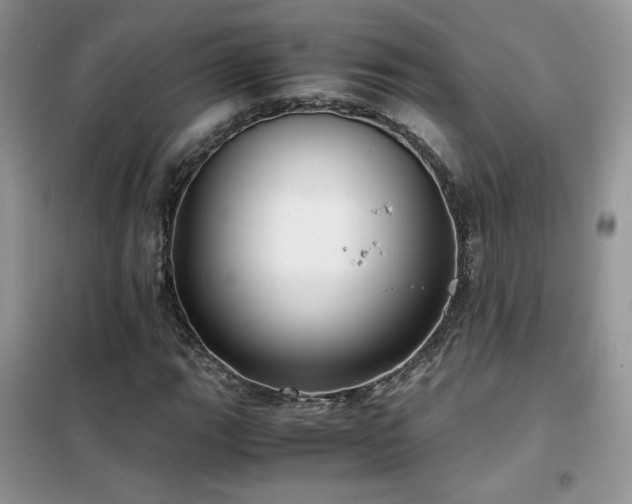 X0000102341111200808011134