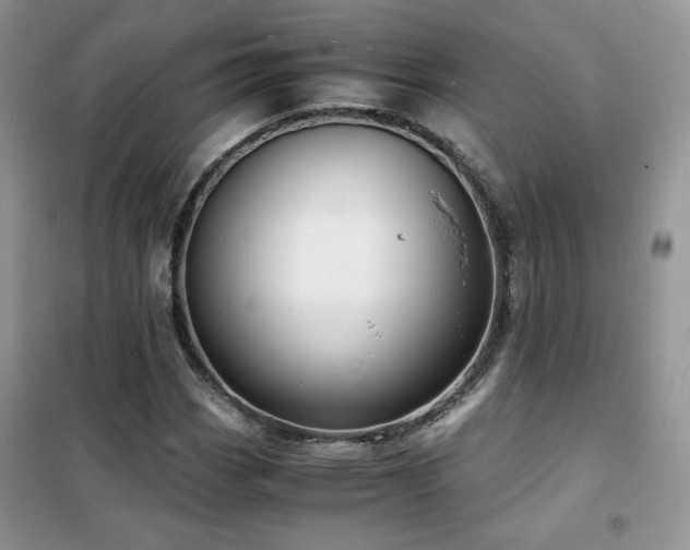 X0000102341113200808011134