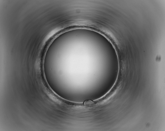 X0000102341114200808011134