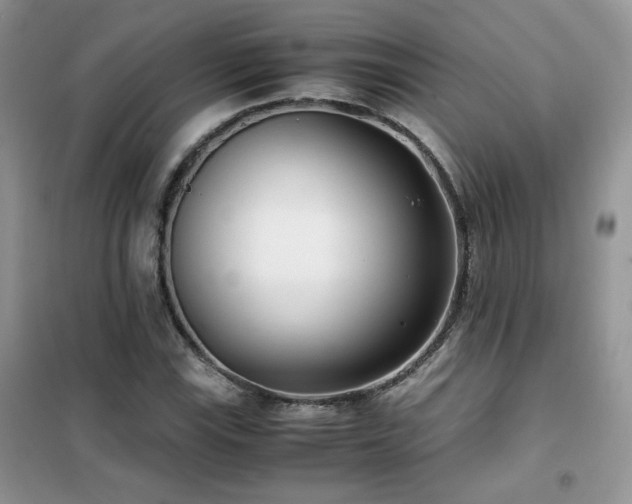 X0000102341115200808011134