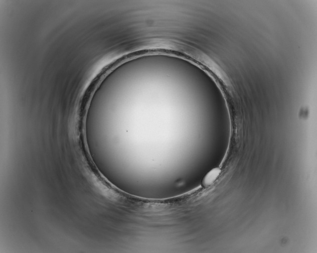 X0000102341116200808011134