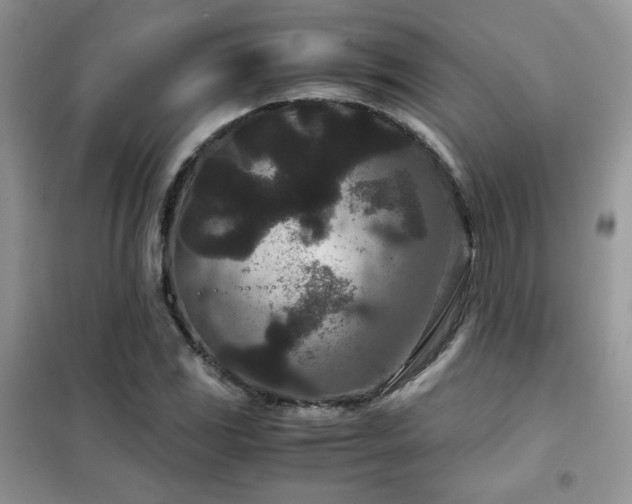 X0000102341117200808011134