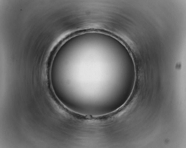 X0000102341118200808011134