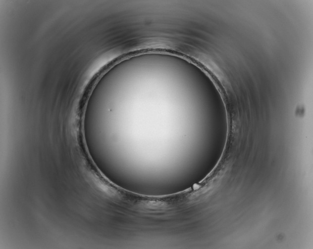 X0000102341119200808011134