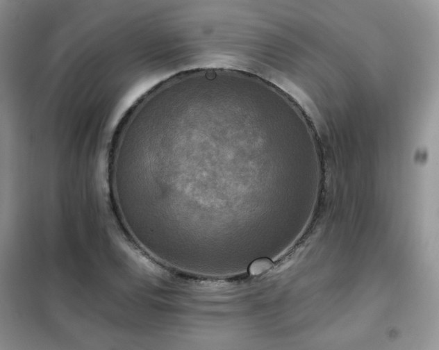 X0000102341120200808011134