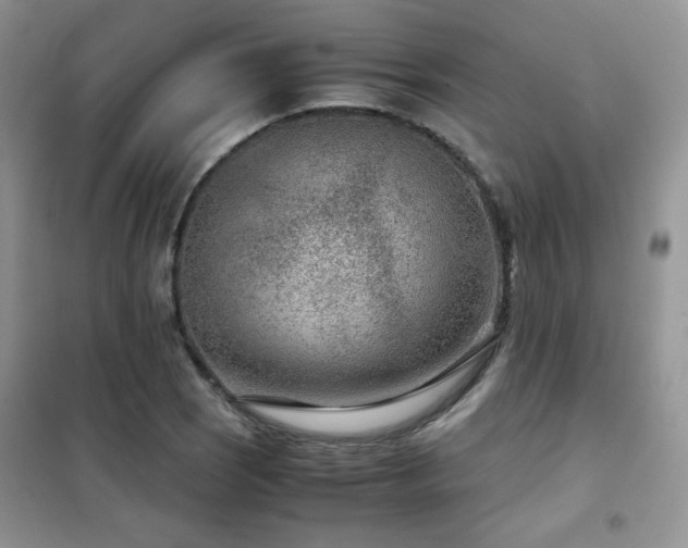 X0000102341121200808011134