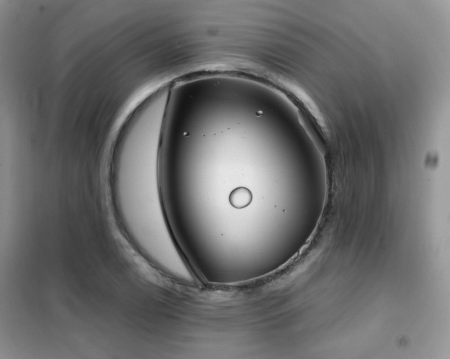 X0000102341122200808011134