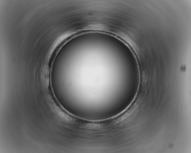 X0000102341123200808011134