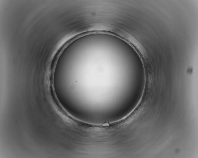 X0000102341124200808011134