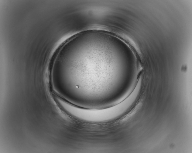 X0000102341125200808011134